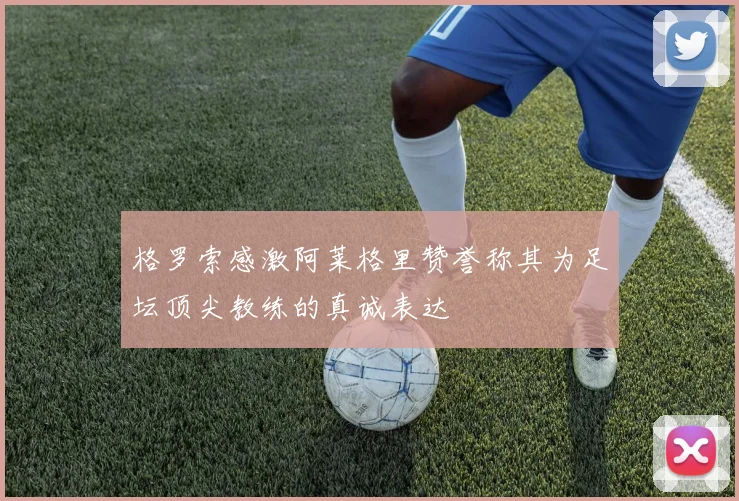 格罗索感激阿莱格里赞誉称其为足坛顶尖教练的真诚表达