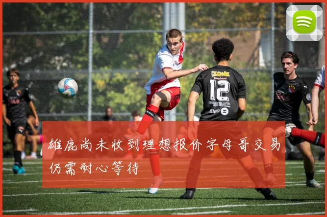 雄鹿尚未收到理想报价字母哥交易仍需耐心等待